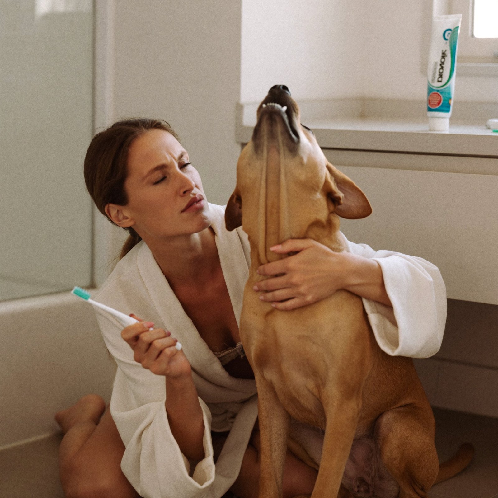 A woman attempting to brush her dog's teeth as the dog turns away
